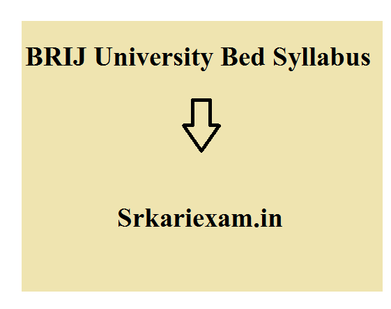 BRIJ University Bed Syllabus